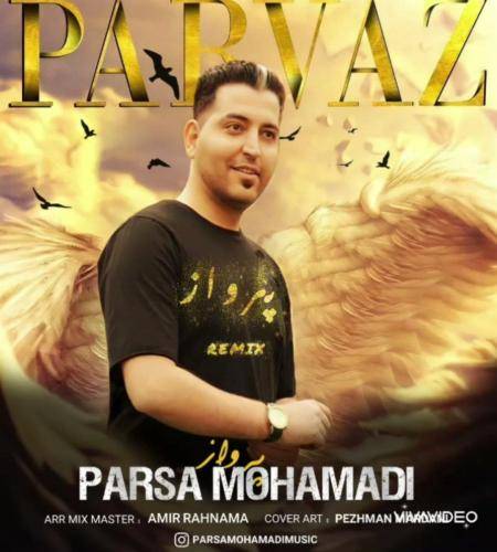 پارسا محمدی پرواز