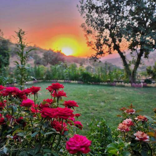 حسین حمیدی من دلم میخواد همش پیشم بمونی