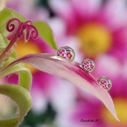 علی برزنونی ناز داره چشمات