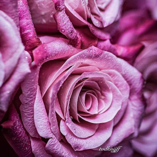  فدای اون مود سگیت وحشی منی تو دوبرم