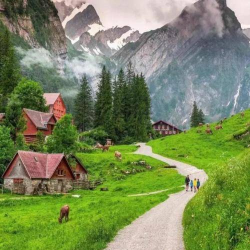  هی دزی دزی سیلت کردم امشو شو لغزشه 