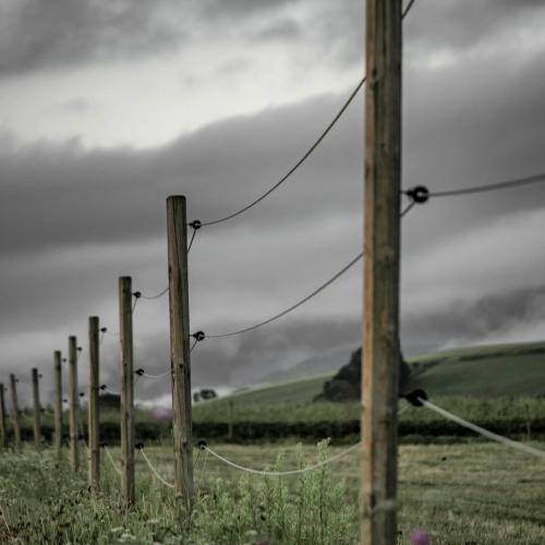 علی یگانه درد کاری