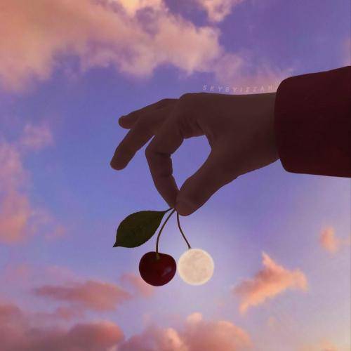 ماکان شجاعت گل گیلاس