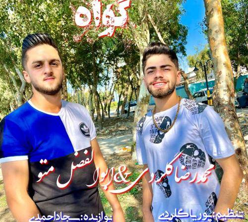 محمدرضا گلردی و ابوالفضل متو گواه