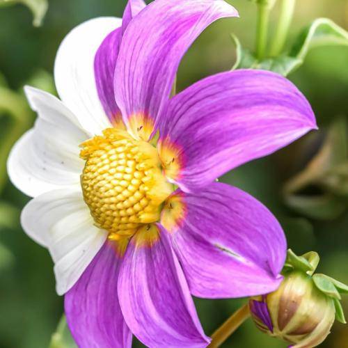  اون وقتا که سرگرمیت بودم زندگیم بودی