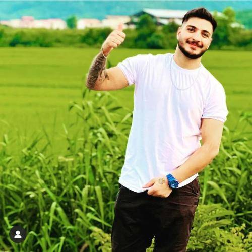 آرمین برمایه چینی فروش شار چین