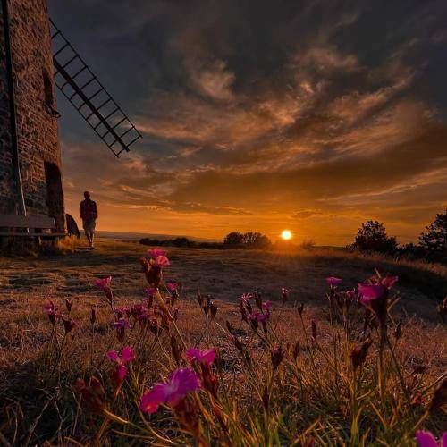 بانه شیروان دل فروش