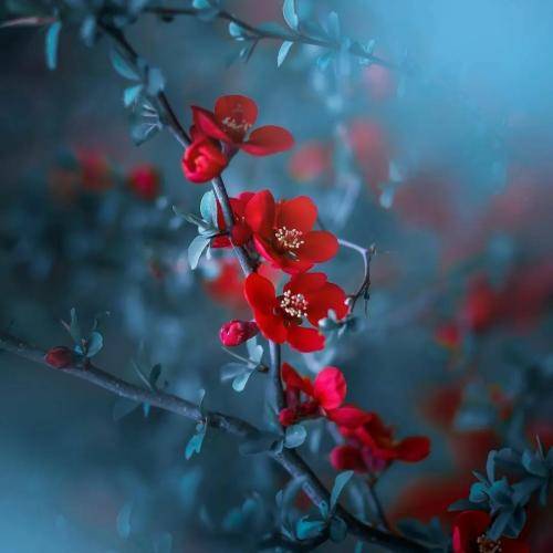 با صدای زن بس که سیت غم ایخورم غم آوی دوسم