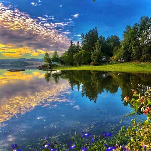 ریم السواس الجمال بیستفزني