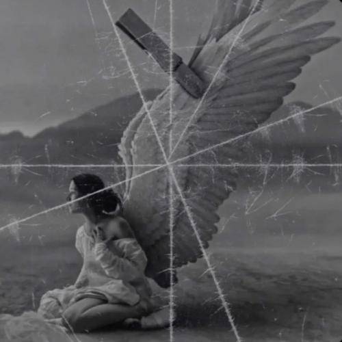 هیچکس این واسه دار واسه تیر واسه داد مثه شیر