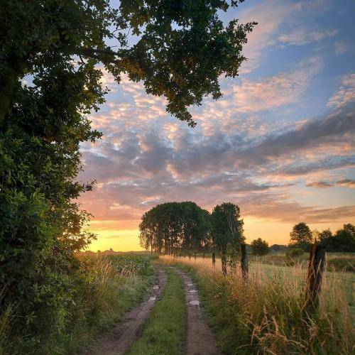 ریم السواس عصفورة النهوندیة