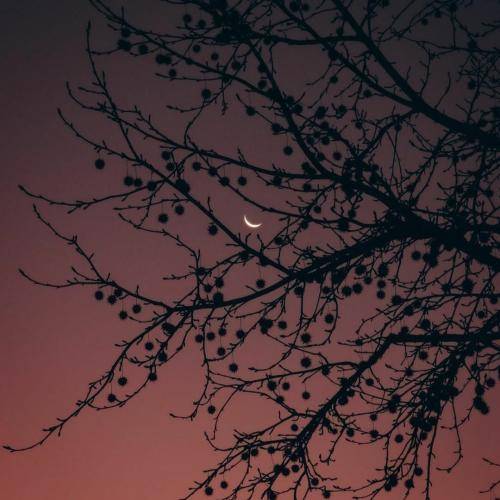 ریم السواس اکبر غلطه