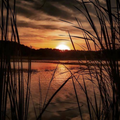 ریم السواس خلیها بالقلب