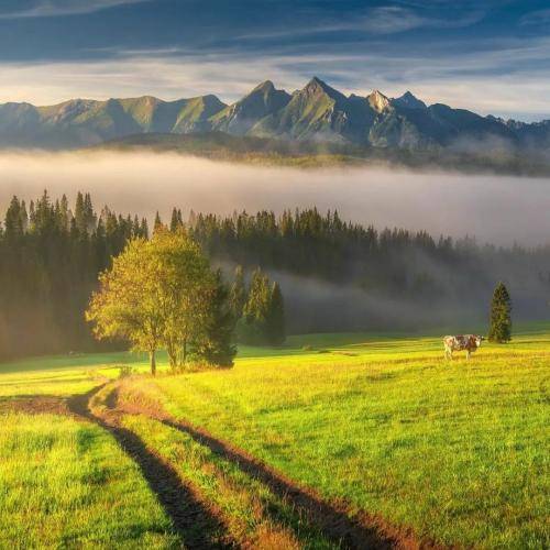 ریم السواس موال هالیوم من