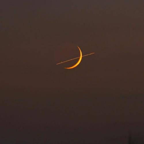 ریم السواس شوفو شو بصیر