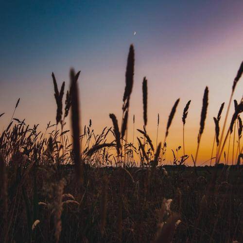 ریم السواس سلم عأمك سلم