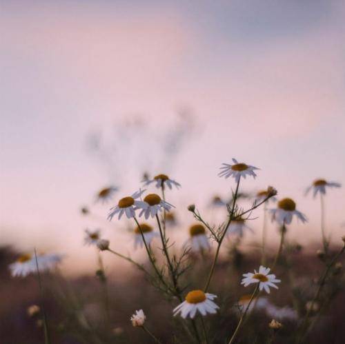 علیرضا شربتی صدر الله خان بیمو خواستگاری من