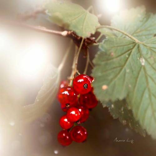 مهران یاوری اگه میشنوی صدامو تا جوونیم یه حالی بهمون بده