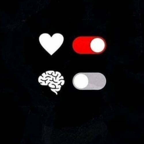 رض نه دنبال ویو نه دنبال هیتم بیشتر از این بر نمیاد از هیتم