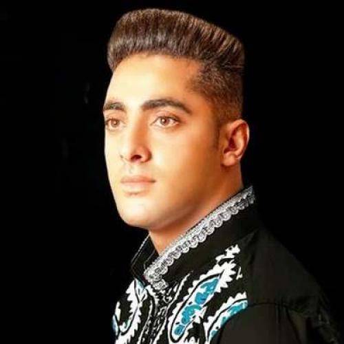 علی عزیزپور هور و پری