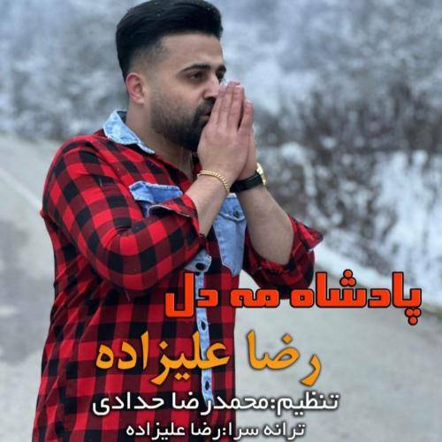 رضا علیزاده تو آرامش این روزا منه ابدی دلخواه