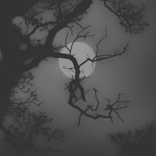 شهاب بیرانوند عه تاو چیمت مه آوه لیز بیم