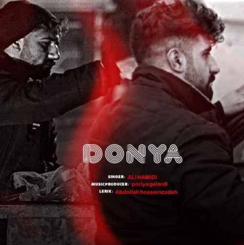 علی حمیدی دنیا