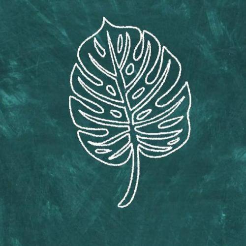 شهریار قمی کنه مور بزنن یار تی محله ره