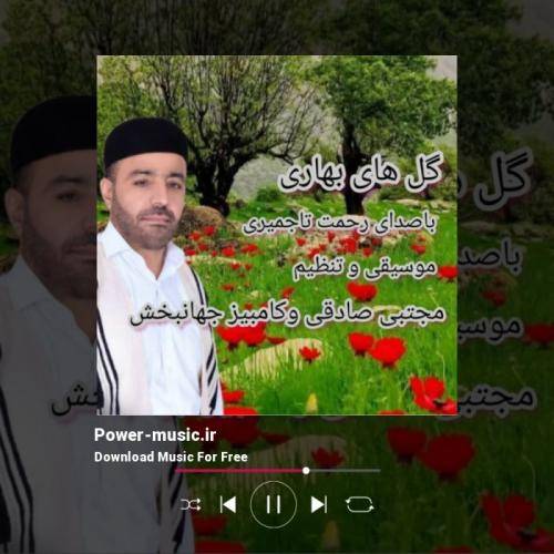 رحمت تاجمیری گلهای بهاری