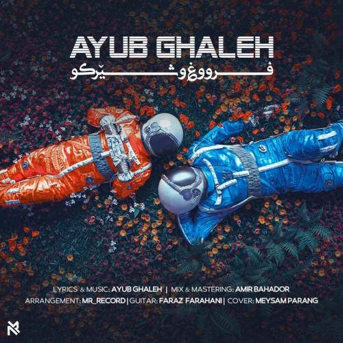 ایوب قلعه فروغ و شیرکو