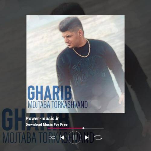 مجتبی ترکاشوند غریب