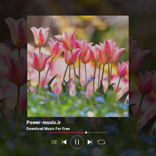 رضا تیتو گل زرد