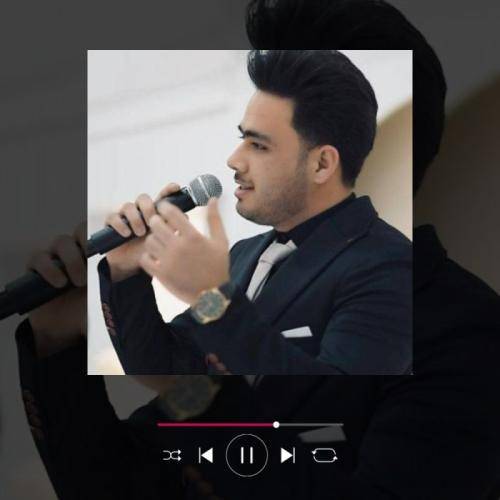 محمد معین مرد میخونه