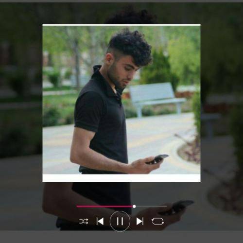 دیان پرپر کردی گل عمرمو من مرگو با چشام دیدم