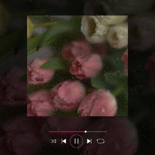  محسن لرستانی و مهراب