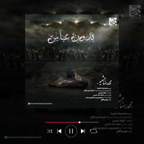 محمدرضا عشریه بدون عباس