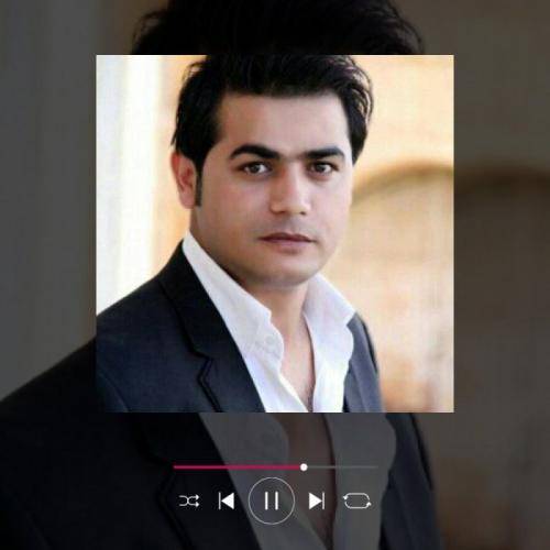 رضا مرادیان نازارگم