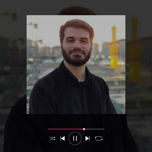 میثم مطیعی بشنو از نی ناله هایی سوخته