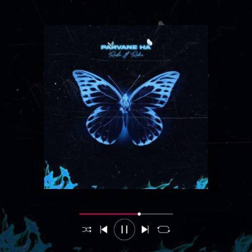 رادین پروانه ها