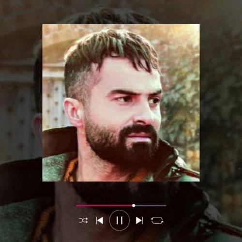 سعید حسین زاده گل یاس