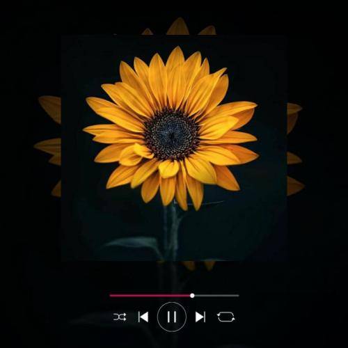  فی حیاتی ما غانتهناش انا فی مرة