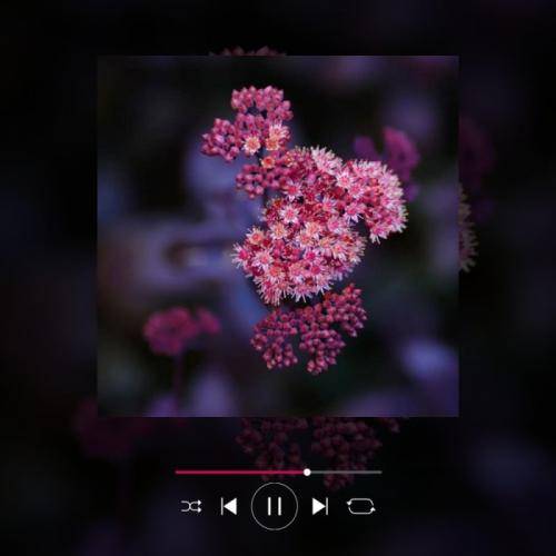 بیتا نابی دلم ارات گیریایه پر بالم شکیایه