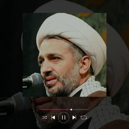 میرزا محمدی در کربلا‌ باشم‌ علمدار تو هستم