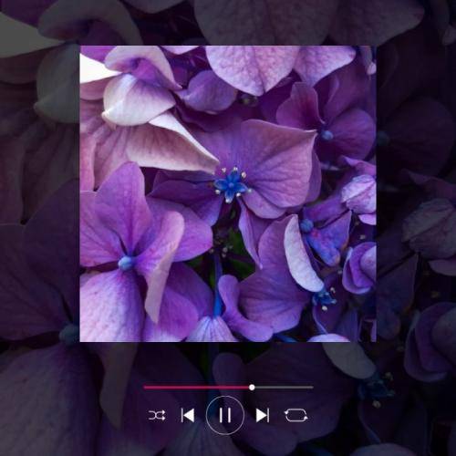  اینستایی نور از دل عالم رفت انگار که شرابم از جامم رفت