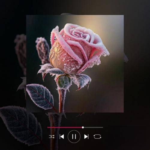 آرش احسانی خاک سرد