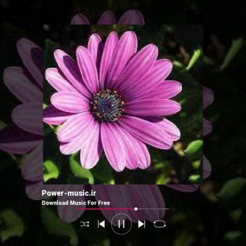  خار تو پامه تو کجا بودی اینستایی