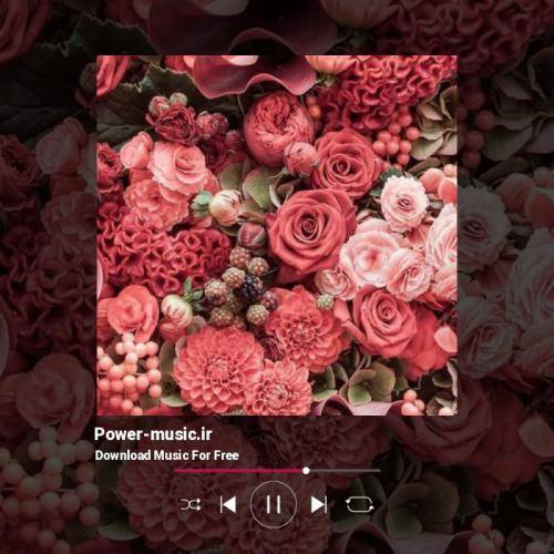 اون روزو میبینم بگردی دنبالم شرمنده اهل امید نیستم