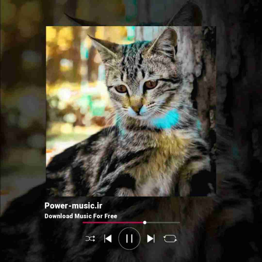 وحید حیدری تا وقت اذان وپید فکر کم