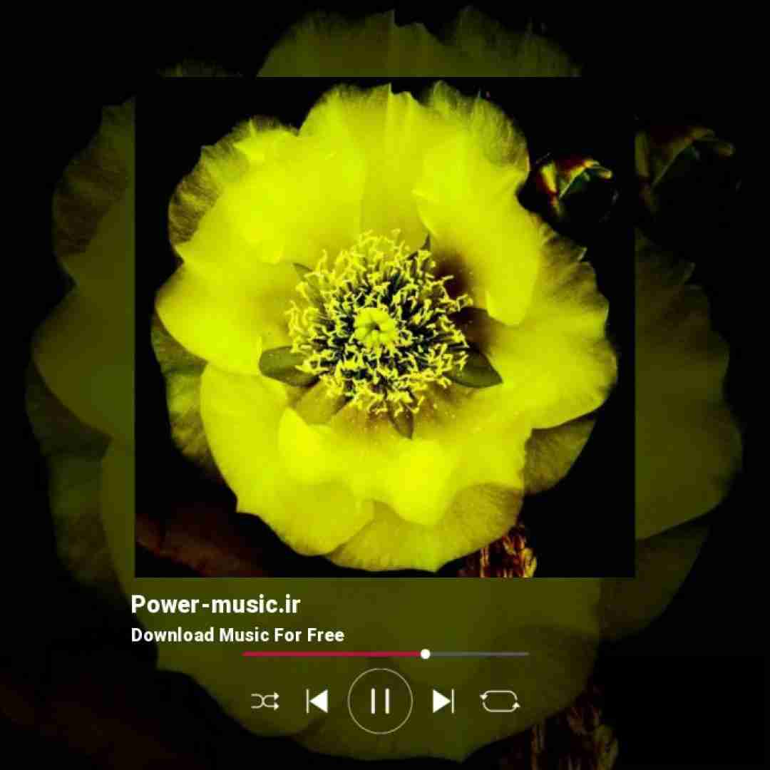 محمدرضا شفیعی اگه ای قلب منه چرا برای تو میزنه