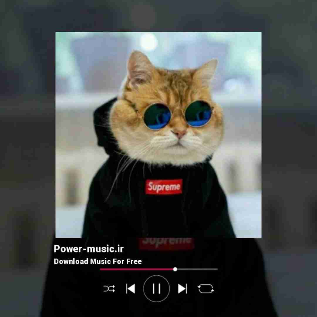  میشنوی صدای قلبم واسه تو میزنه هر بار